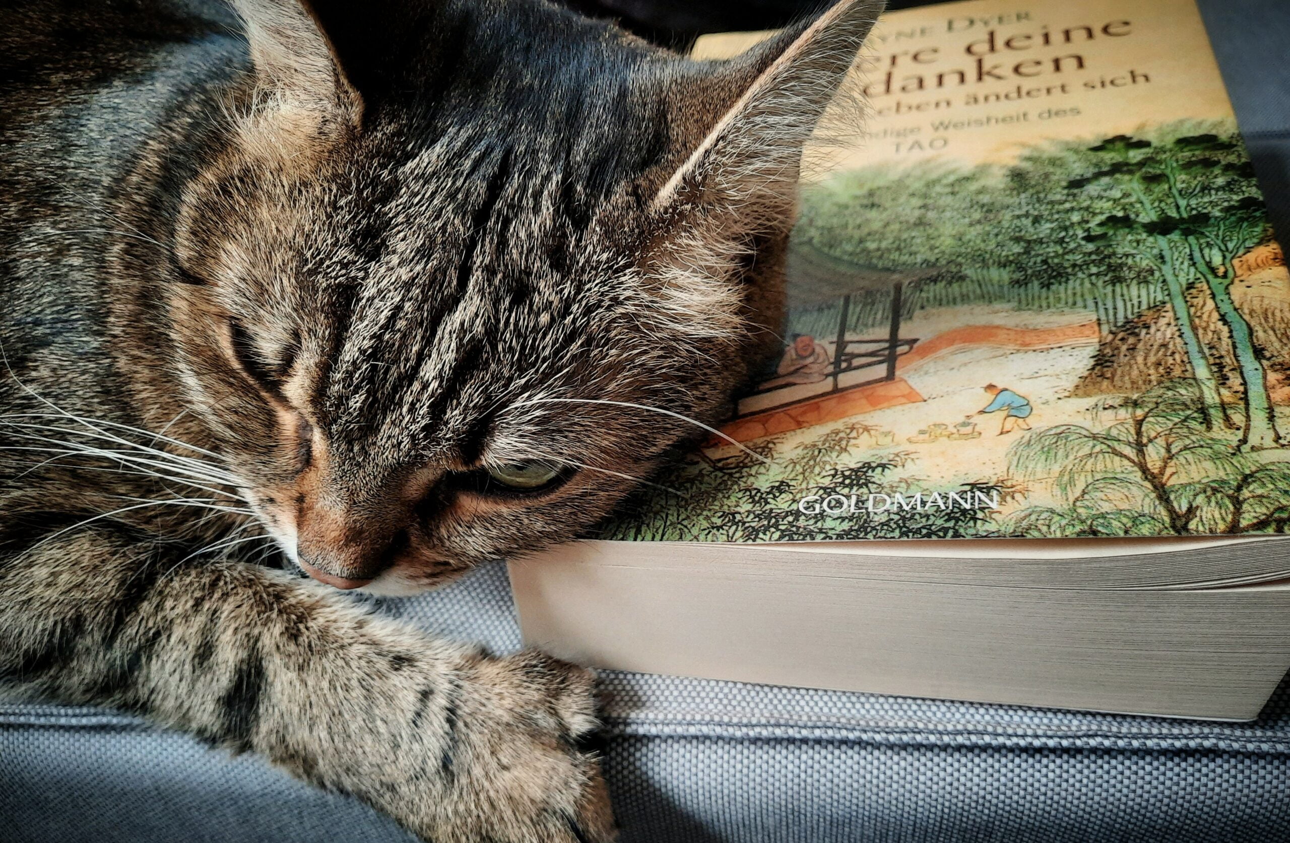 Meine Buchtipps